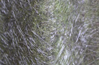 Streethay fibreglass roof work